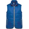 Light Royal Blue